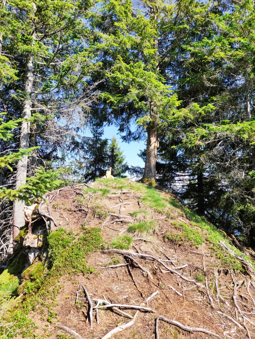 Wanderung Sonnenberggrat: Wanderung Sonnenberggrat: Vorderer Rappenkopf