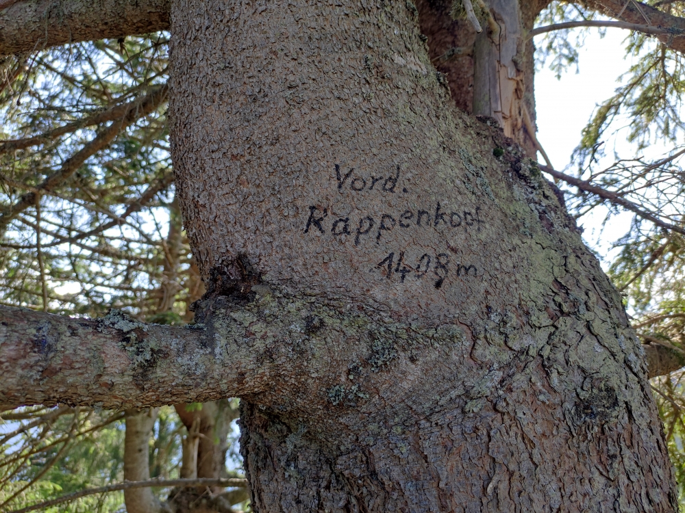 Wanderung Sonnenberggrat: Wanderung Sonnenberggrat: Gipfelmarkierung (Vorderer Rappenkopf)