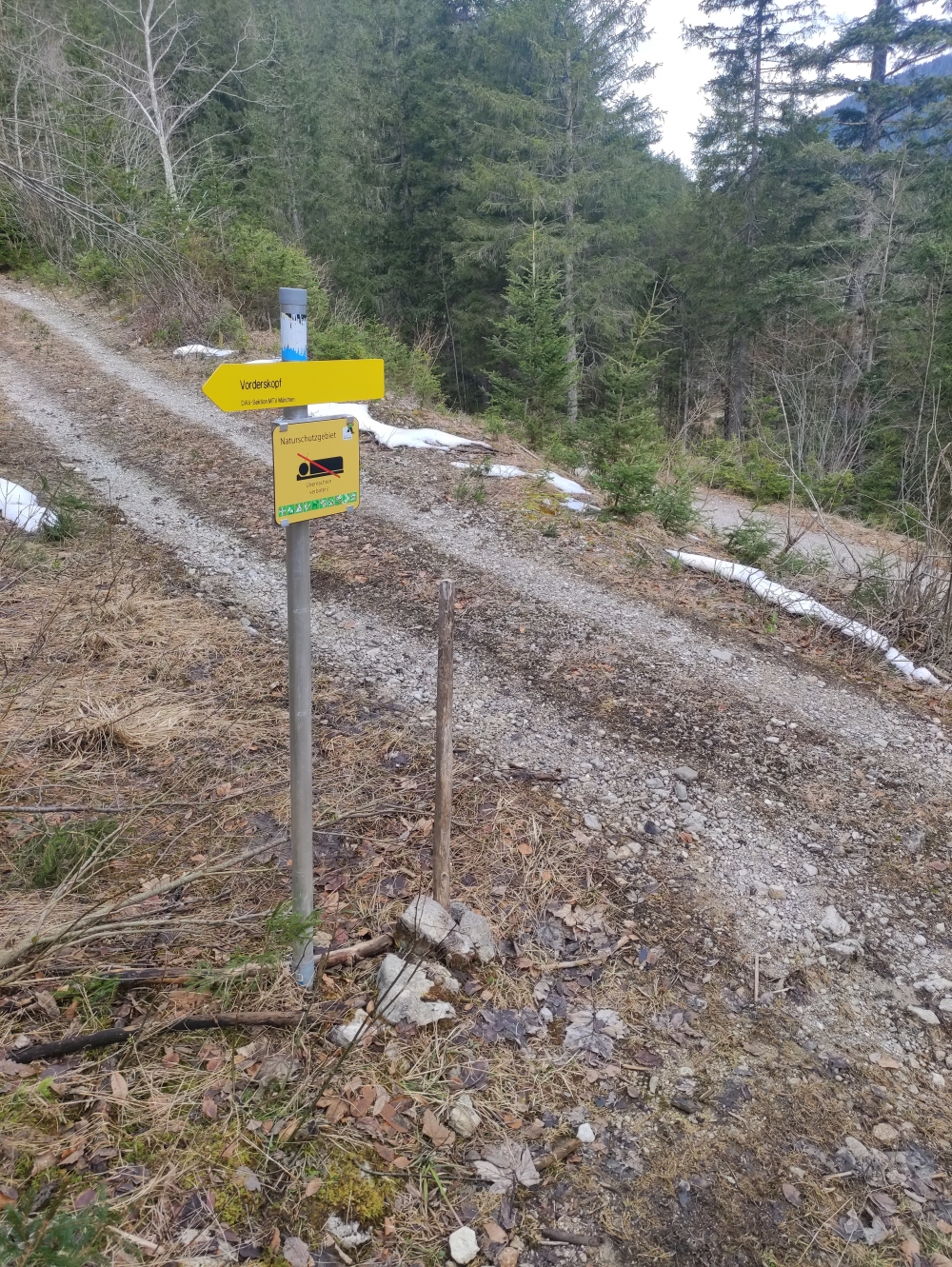Wanderung Vorderskopf: Abzweig von der Forststraße am Rißbach