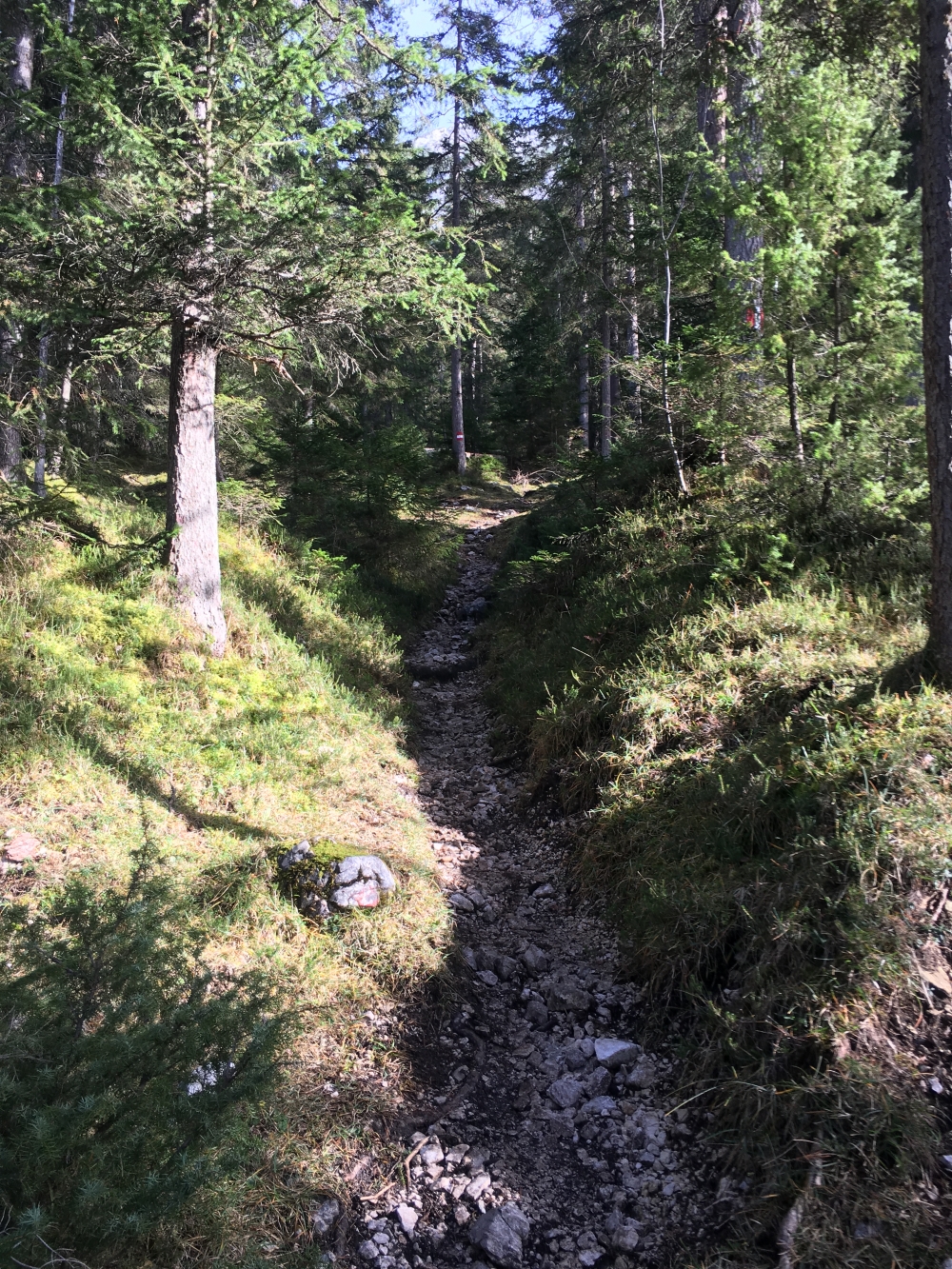 Wanderung Vorderunnütz: Weg zwischen Parkplatz und Zöhreralm