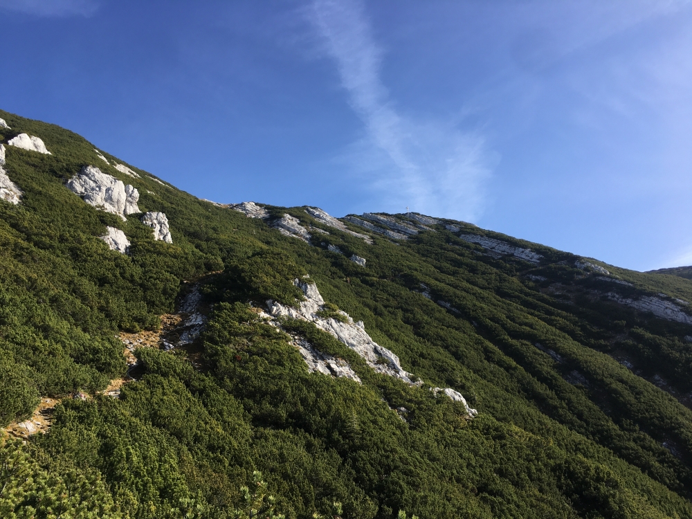 Wanderung Vorderunnütz: Abkürzung durch die Latschengasse