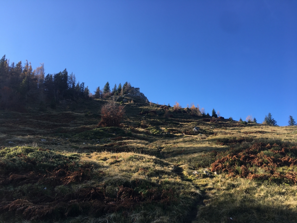 Wanderung Zwergerlweg Vormauerstein: Wanderung Zwergerlweg Vormauerstein: Ein kleiner Pfad führt zum Gipfel