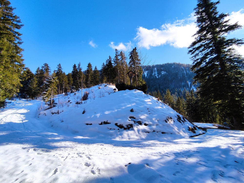 Wanderung Rötelstein: Wanderung Rötelstein: Wegkreuzung Wagbichl