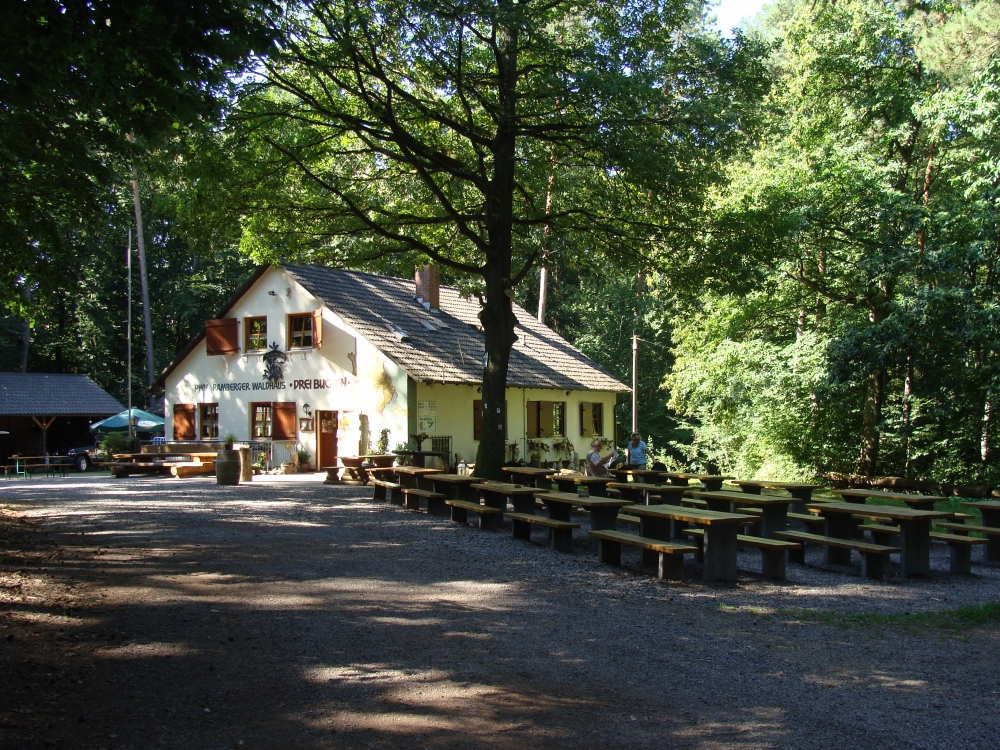 Waldhaus Drei Buchen: Waldhaus Drei Buchen