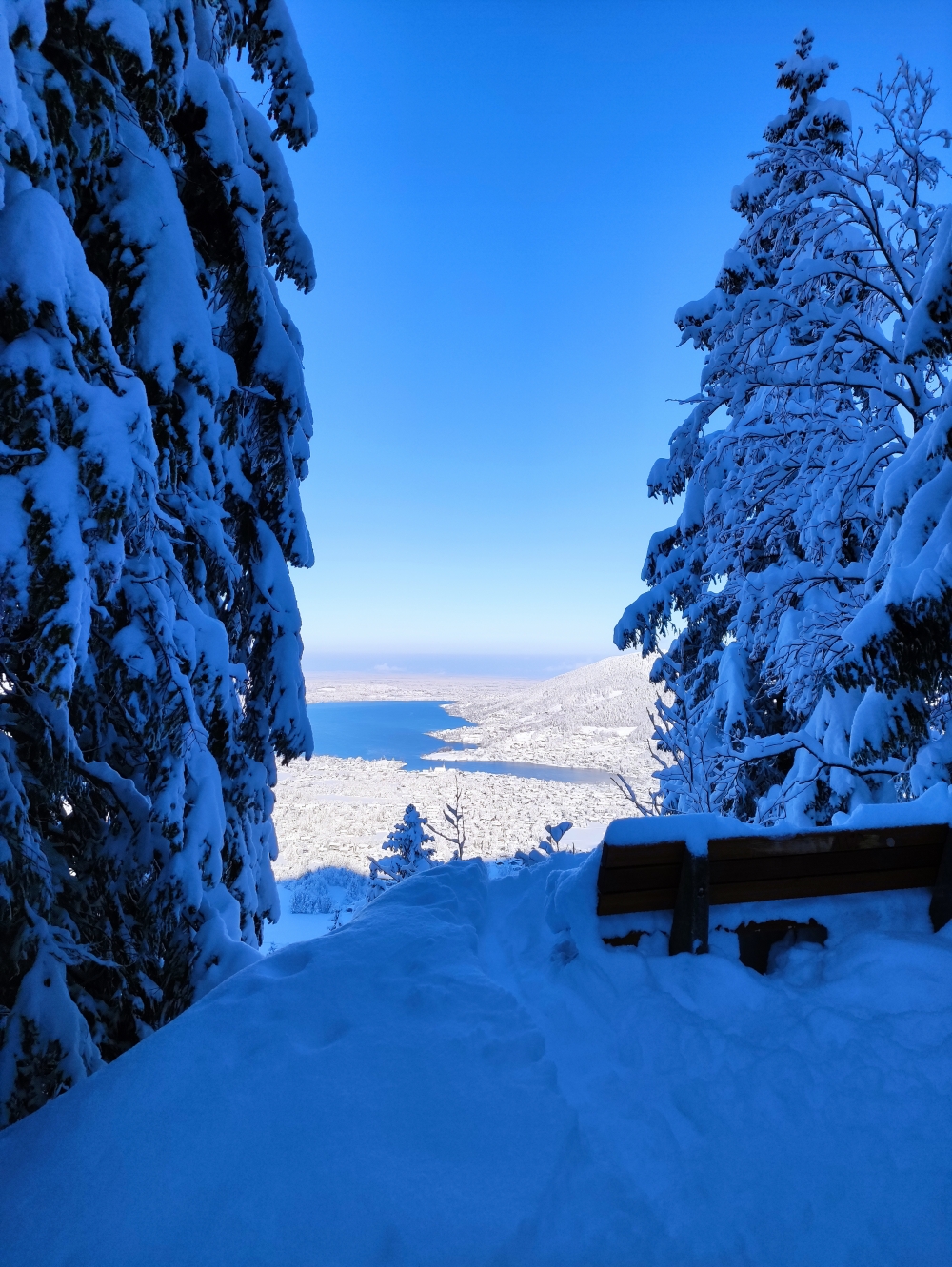 Rodeln Wallberg: Der Sommerweg im Winter
