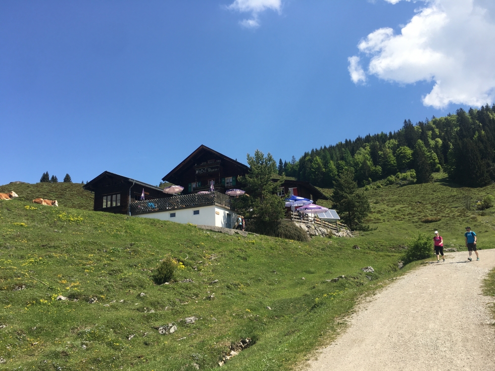 Wanderung Zettenkaiserkopf: Wanderung Zettenkaiserkopf: Walleralm