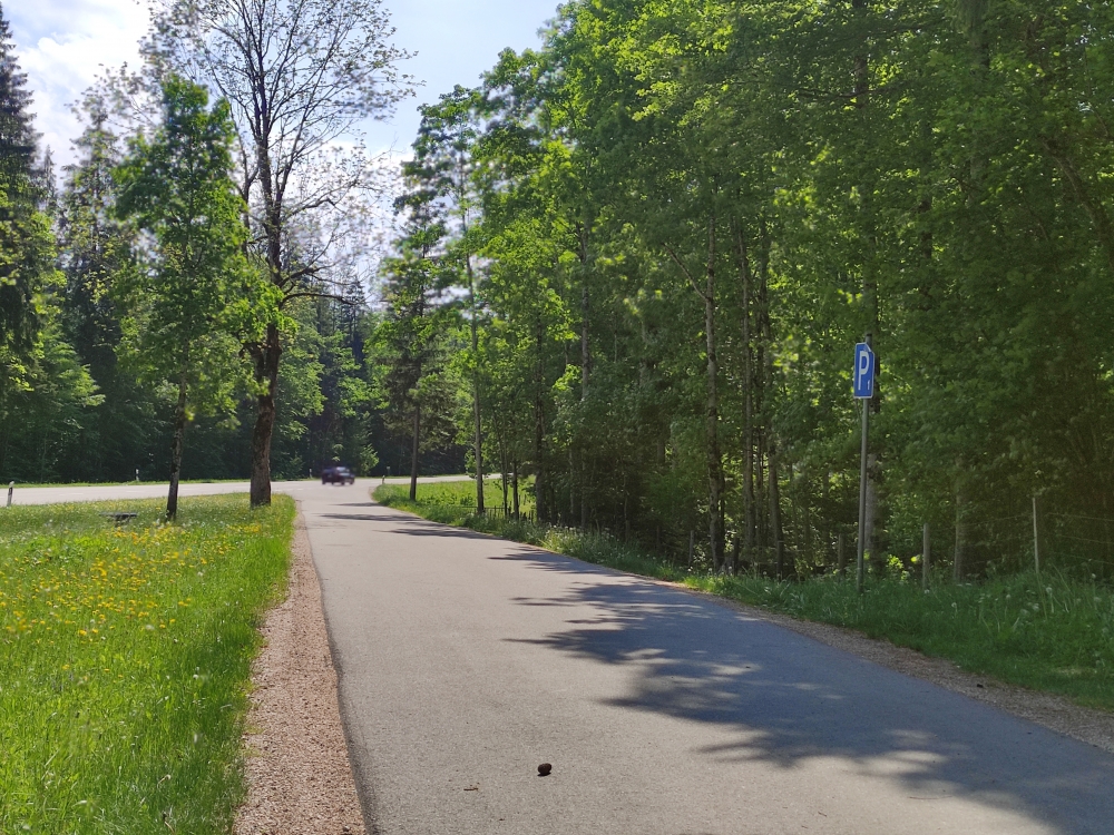 Wanderung Seekopf: Wanderung Seekopf: Parkbucht neben der Straße