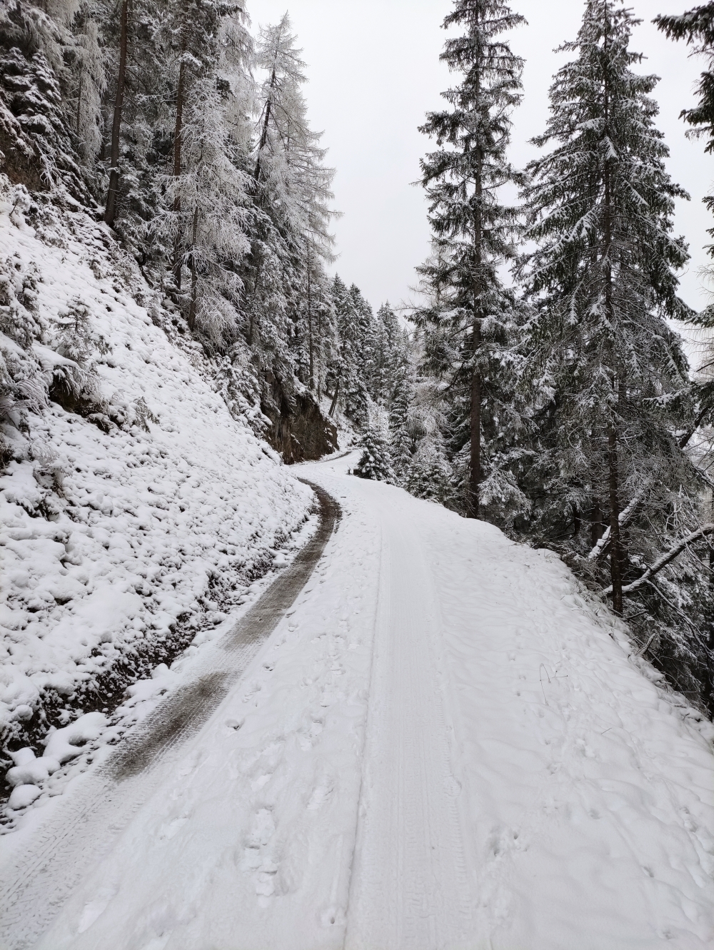 Wanderung Wannig: Lange Forststraßenstrecke