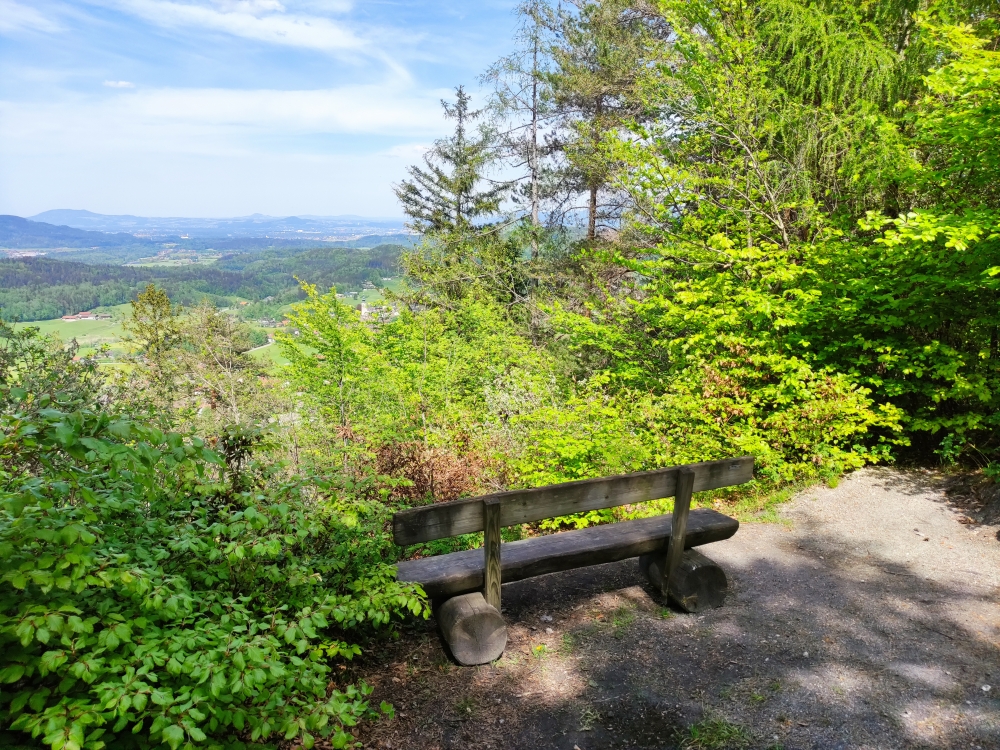 Wanderung Dötzenkopf: Wanderung Dötzenkopf: Aussichtsbank am Wappbachkopf