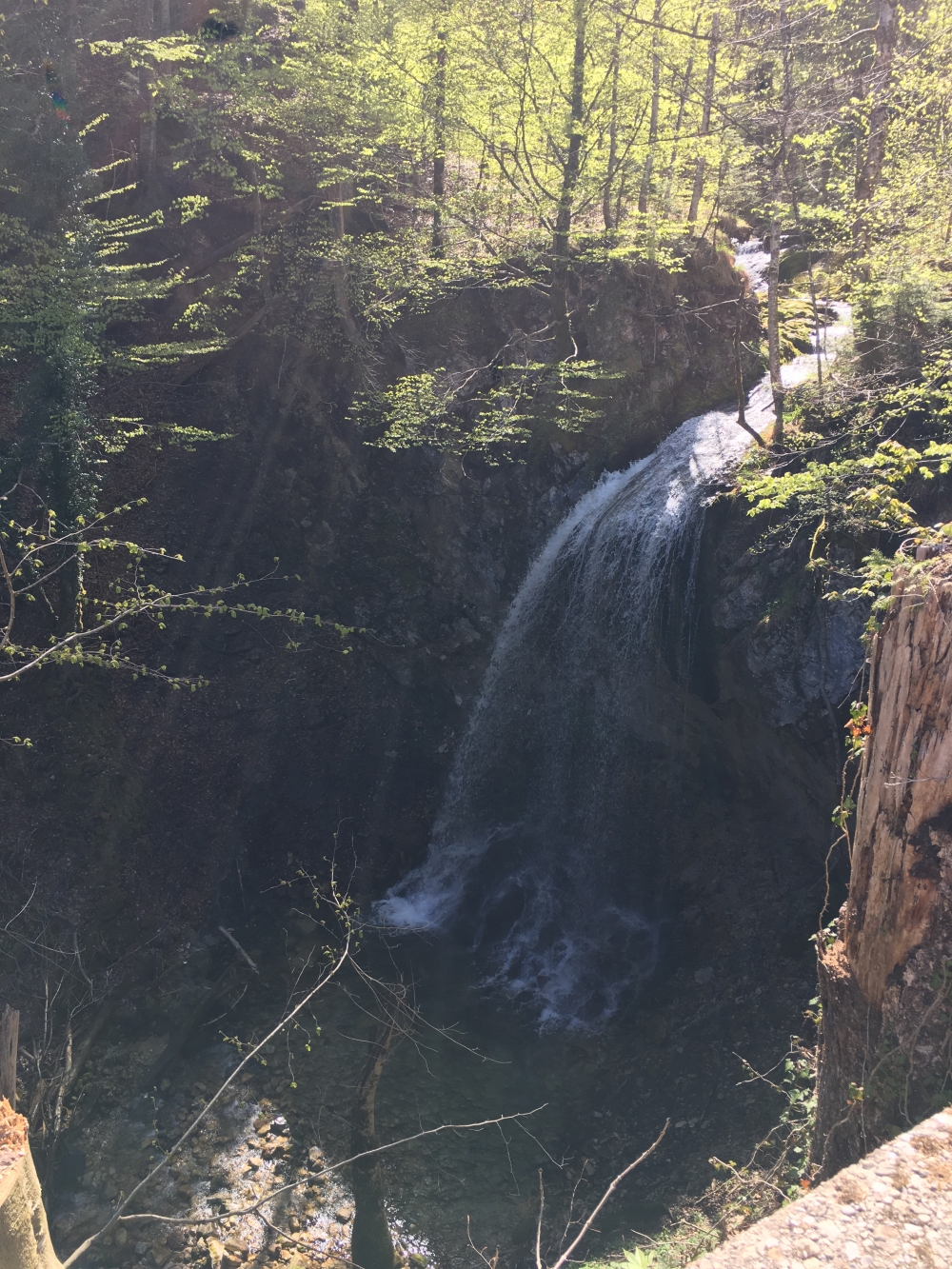 Wanderung Laubenstein: Wanderung Laubenstein: Hammersbachs-Wasserfall (Hammerbach-Wasserfall)