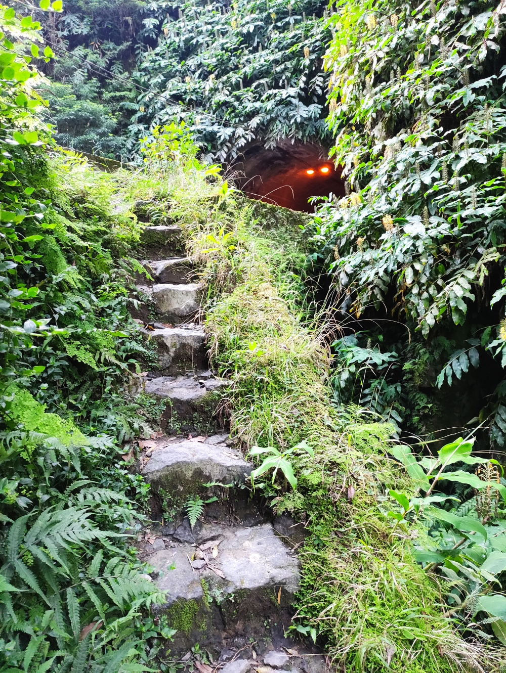 Wanderung Wasserfall Ribeira Quente: Zwischen den Tunnels rechts die Stufen hinab
