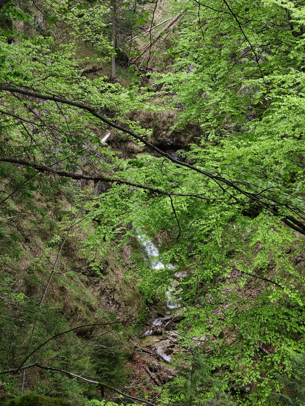 Wanderung Große Brecherspitz-Runde: Wanderung Große Brecherspitz-Runde: Etwas versteckt (Wasserfall Ankelbach)