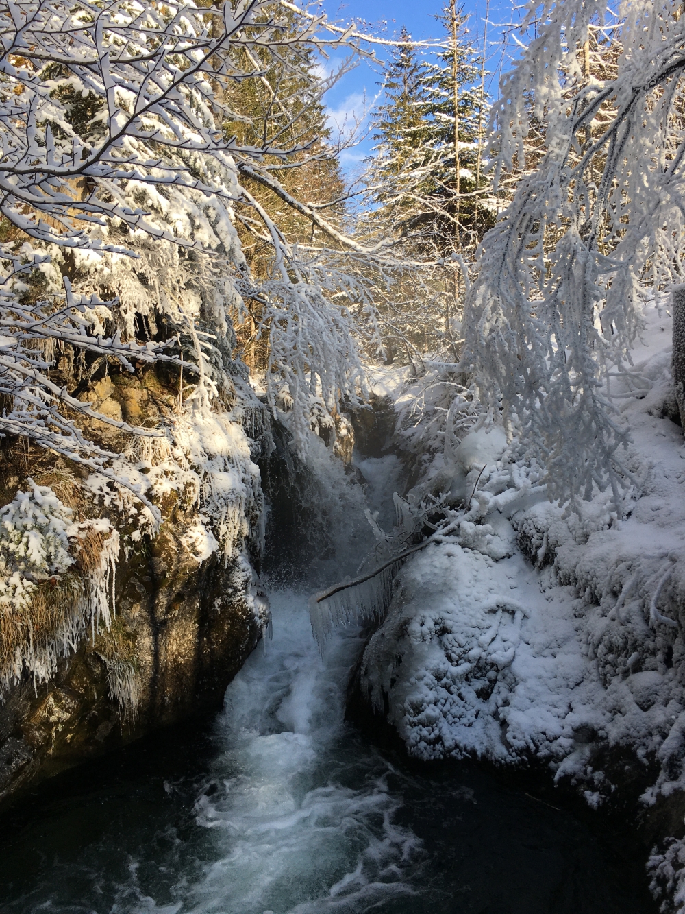 Wanderung Risserkogel: Wanderung Risserkogel: Wasserfall im Winter (Wasserfall bei Schwaigeralm)