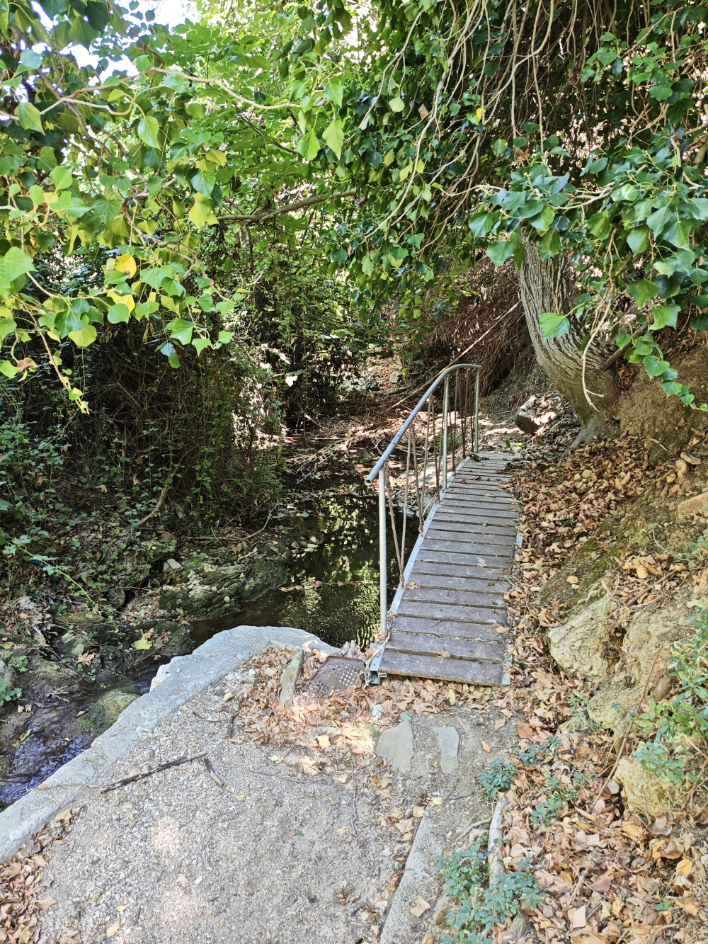 Wanderung Wassermühle der Mönche: Weg