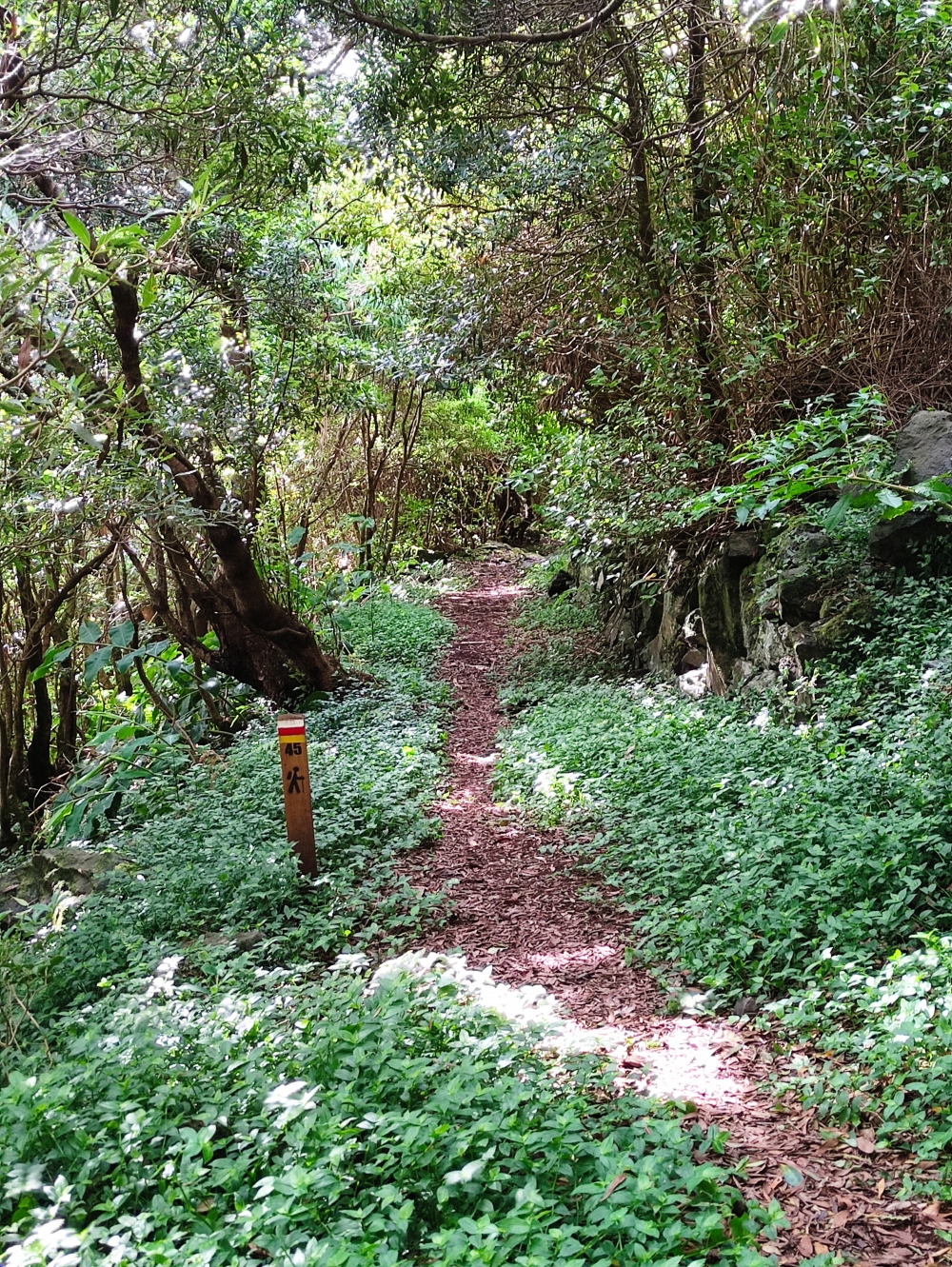 Wanderung Cavalete Hängebrücke: Wanderung Cavalete Hängebrücke: Leider 2023 wegen Hangrutsch gesperrt (Weg nach Loural)