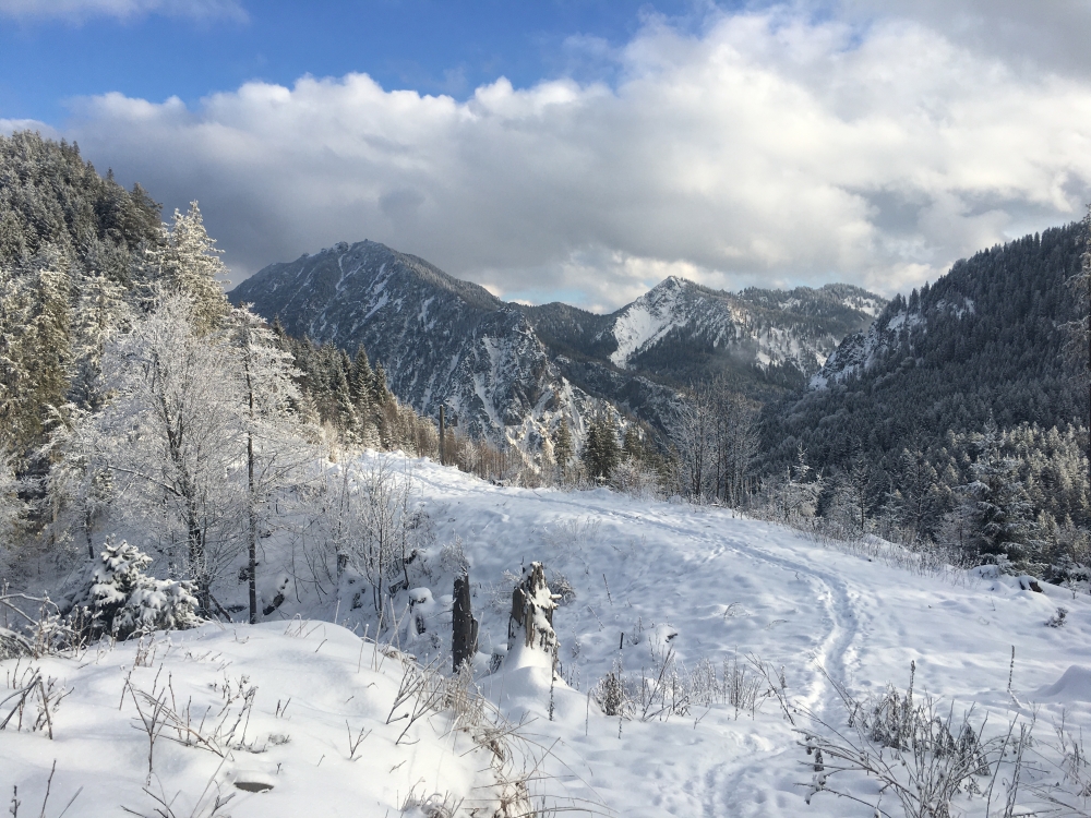 Wanderung Gröhrkopf: Wanderung Gröhrkopf: Blick auf den Weissgrabenkopf vom Hochwurz im Nordwesten