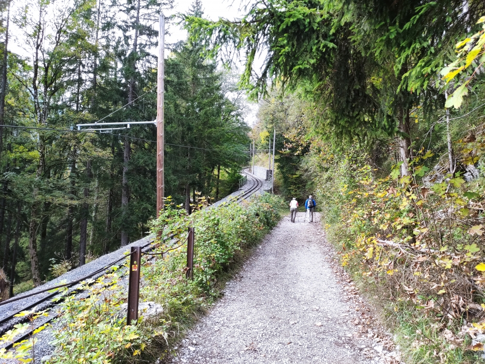 Wanderung Wendelstein aus dem Inntal: Kurz bevor man die Gleise der Wendelsteinbahn unterquert
