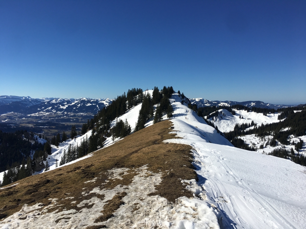 Wanderung Wertacher Hörnle & Spieser: Blick und Weg vom Großer Hirschberg auf den Spieser