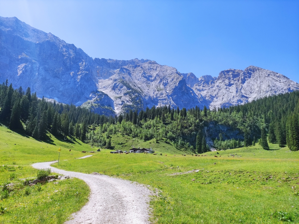 Bike & Hike Königshaus am Schachen: Bike & Hike Königshaus am Schachen: Wettersteinalm