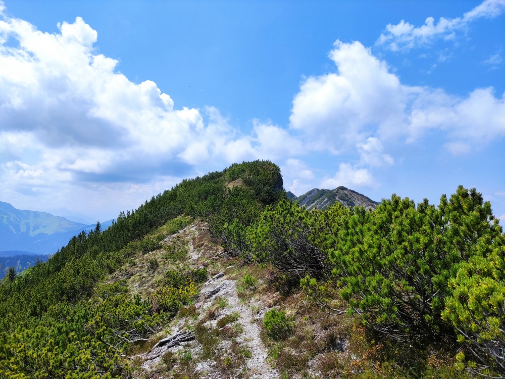 Wanderung Dürrnbachhornrunde: Wanderung Dürrnbachhornrunde: Am Wildalphorn läuft man fast vorbei ohne es zu bemerken 
