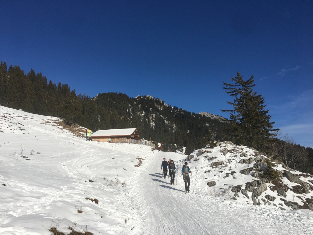 Wanderung Wildalpjoch: Unterhalb der Lacheralm mit Blick auf Wildalpjoch und Kaserwand