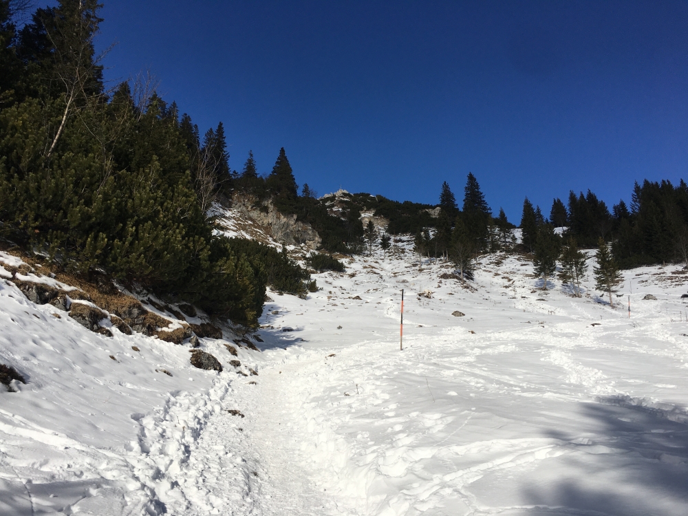 Wanderung Wildalpjoch und Kaserwand: Aufstieg zum Seewandköpfl