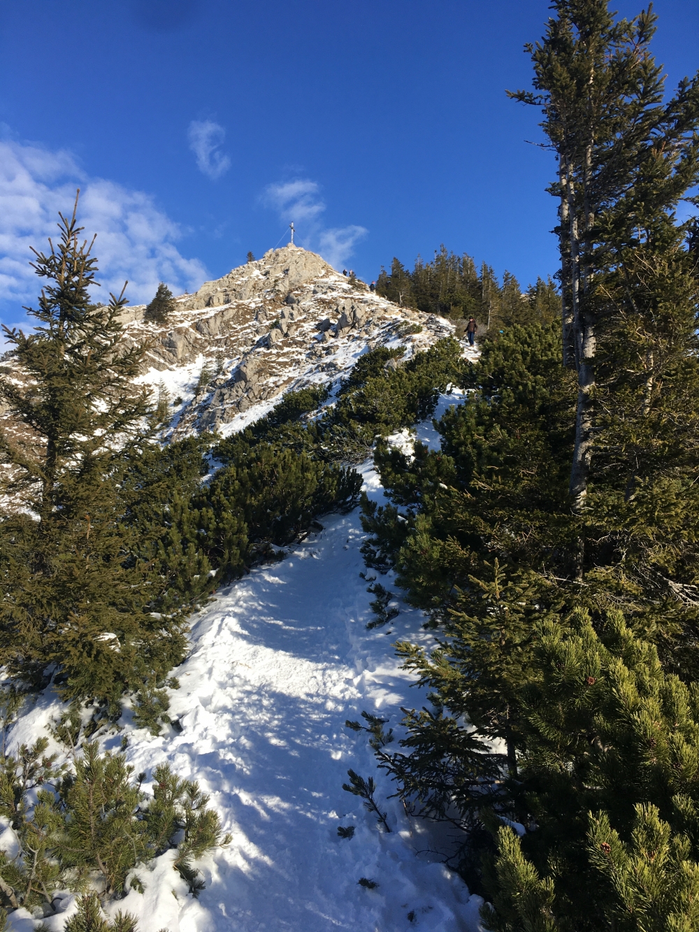 Wanderung Wildalpjoch und Kaserwand: Latschengasse zum Wildalpjoch