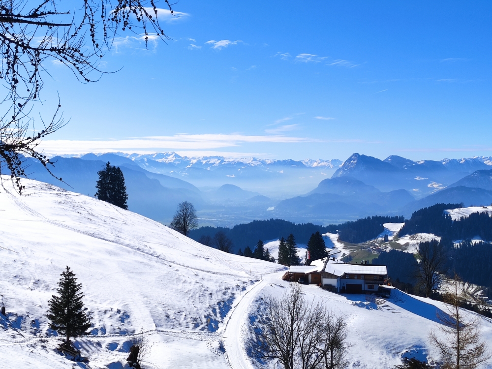 Wanderung Karspitze: Wanderung Karspitze: Wildbichlalm (Wildbichl Alm)