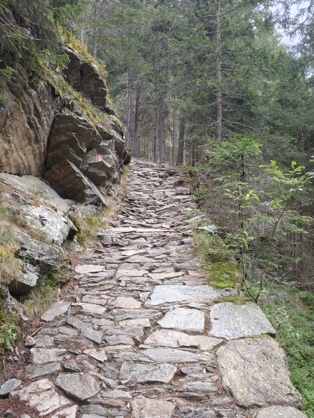 Wanderung Wilder Freiger: Aufstieg
