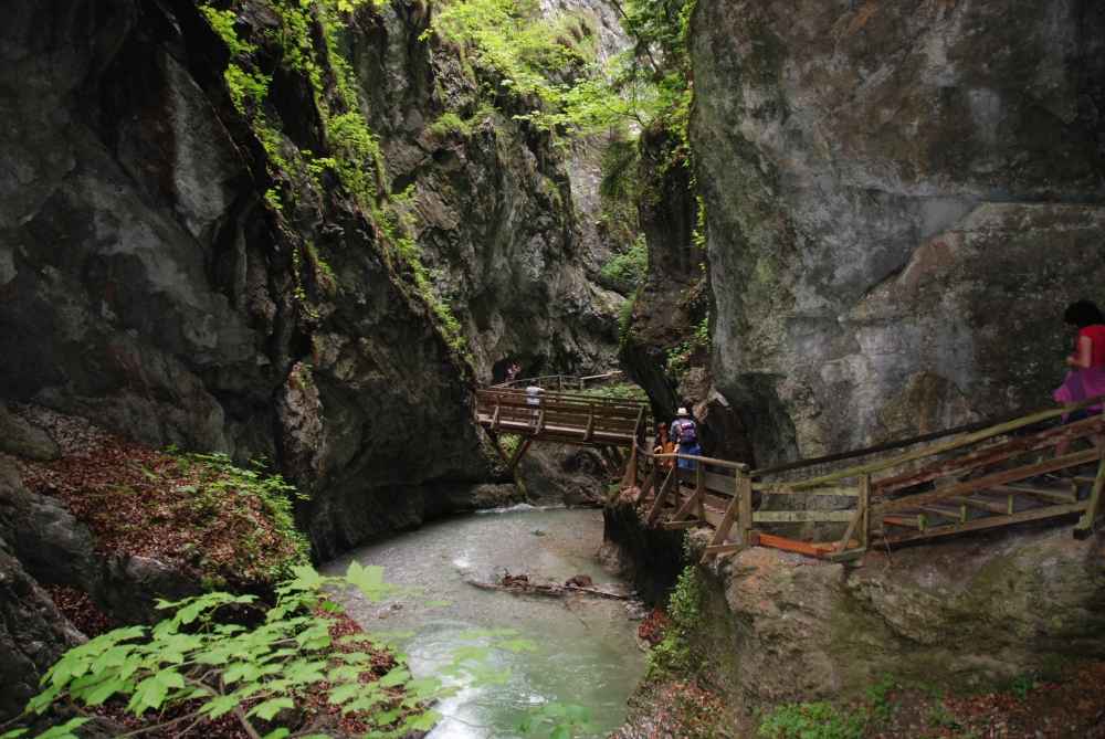 Wanderung Wolfsklamm: Wanderung Wolfsklamm: Ab in die Klamm (Wolfsklamm Eingang)