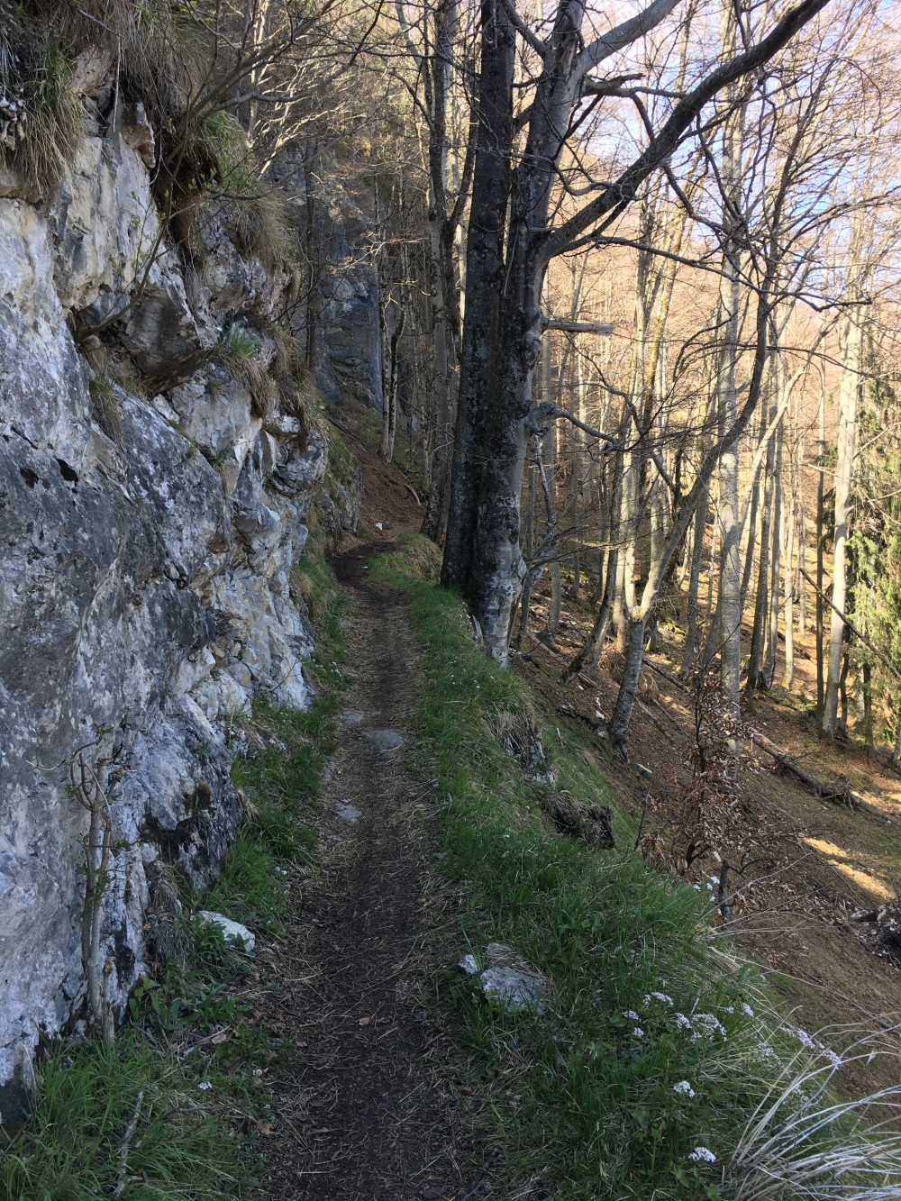 Wanderung Zellerwand: Traumhafter alter Weg