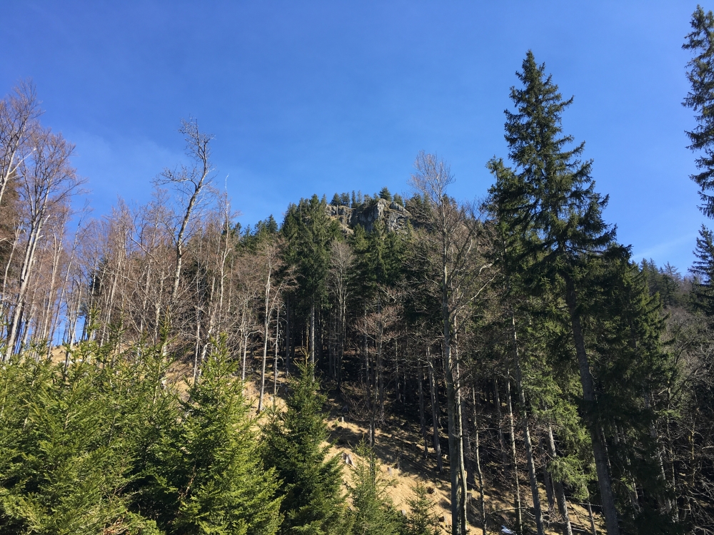 Wanderung Zellerwand: Blick auf den Hammerstein