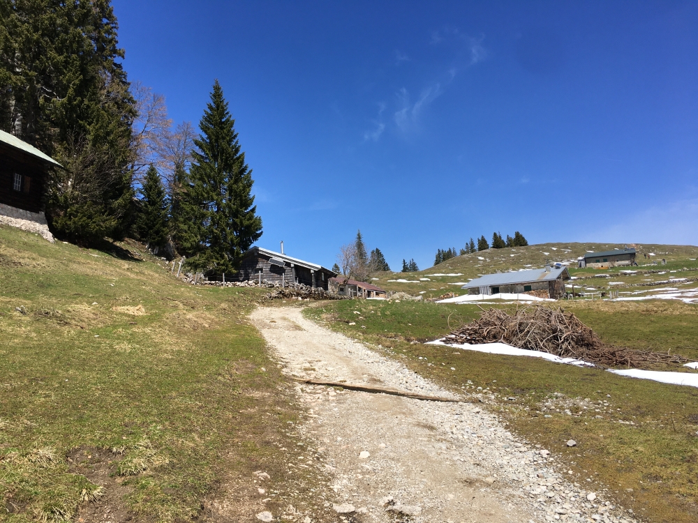Wanderung Zellerwand: Kurz vor dem großen Gipfelplateau