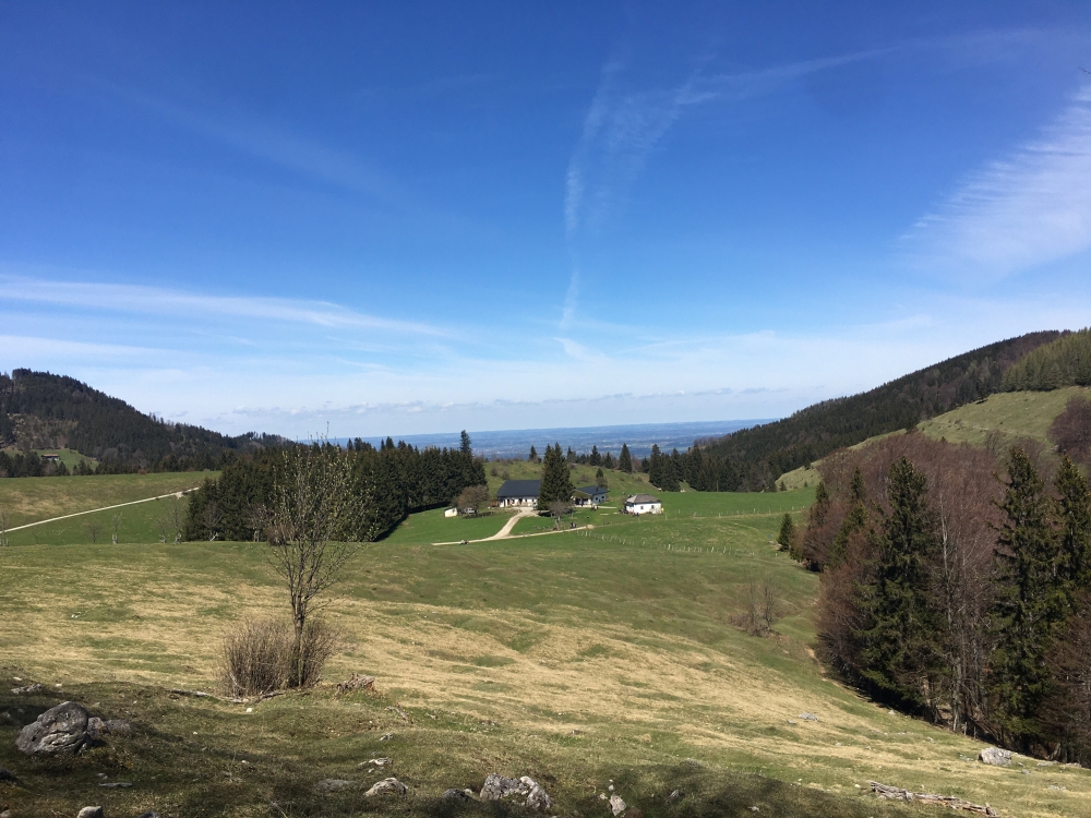 Wanderung Zellerwand: Blick zurück zur Hofalm