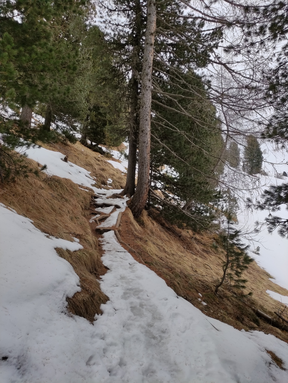 Wanderung Zendleser Kofel: Querung zur Gampen Alm