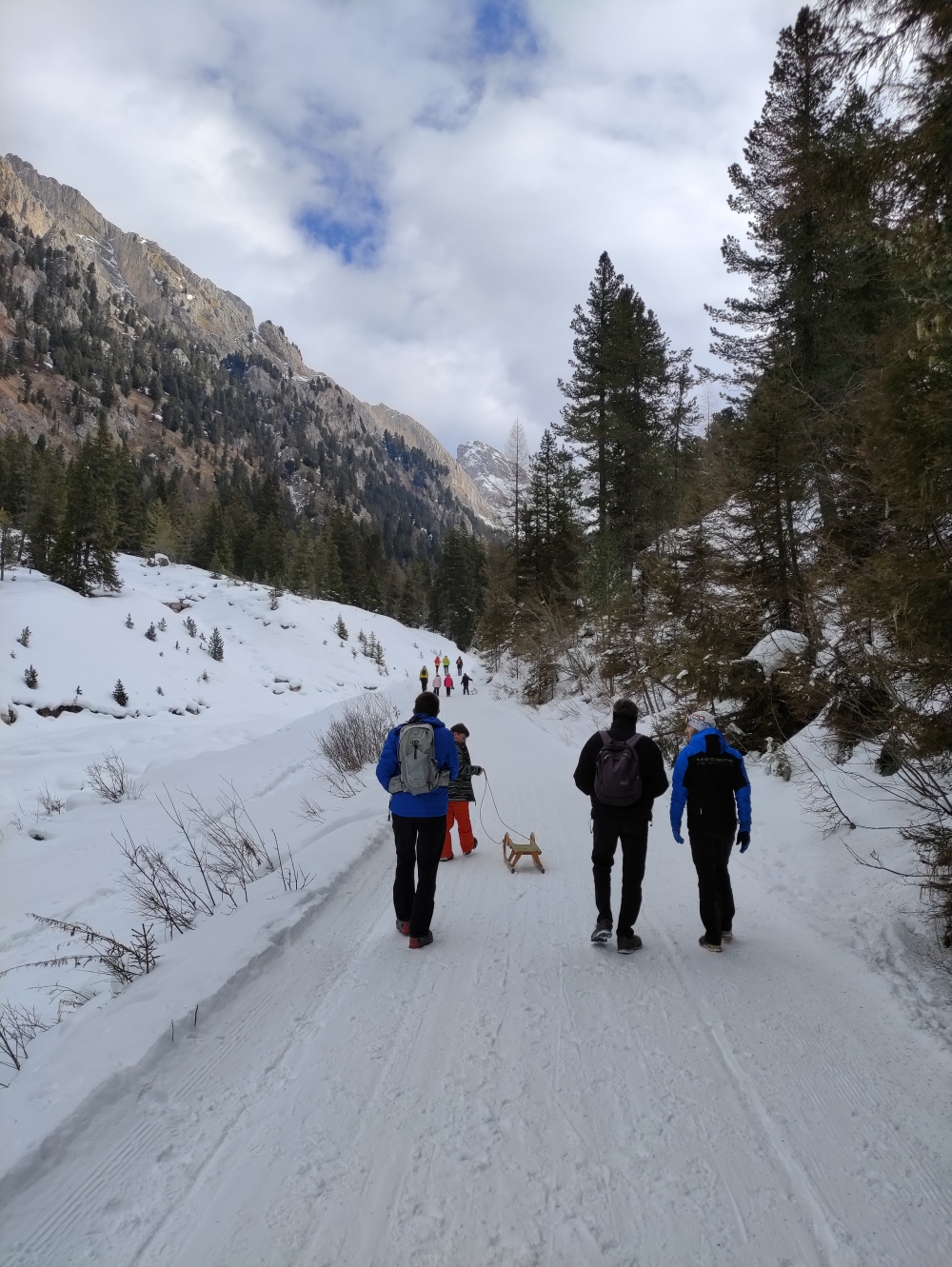 Wanderung Zendleser Kofel: Rodelbahn