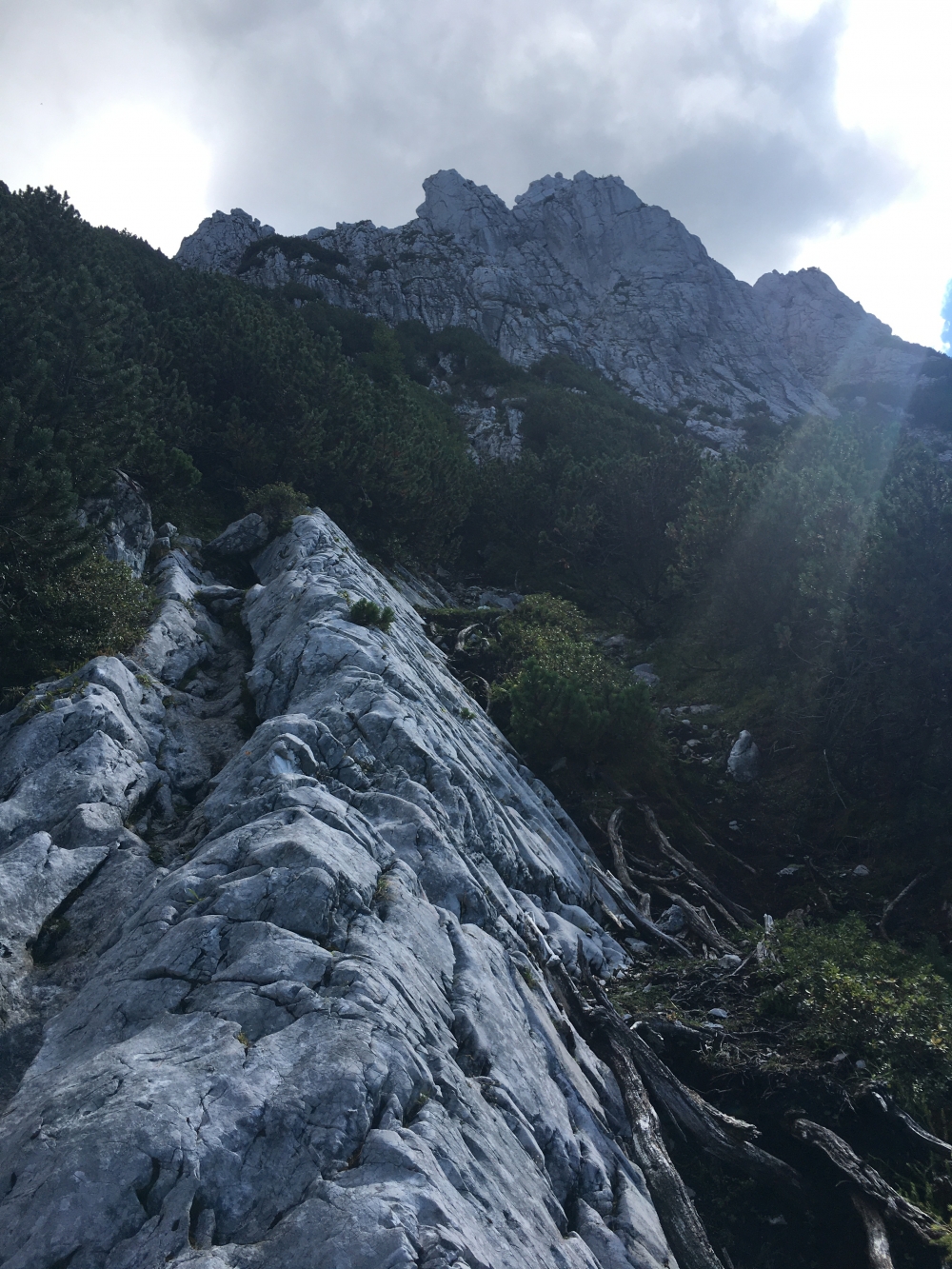 Wanderung Zettenkaiser: Durch die Latschen zum Westgrat