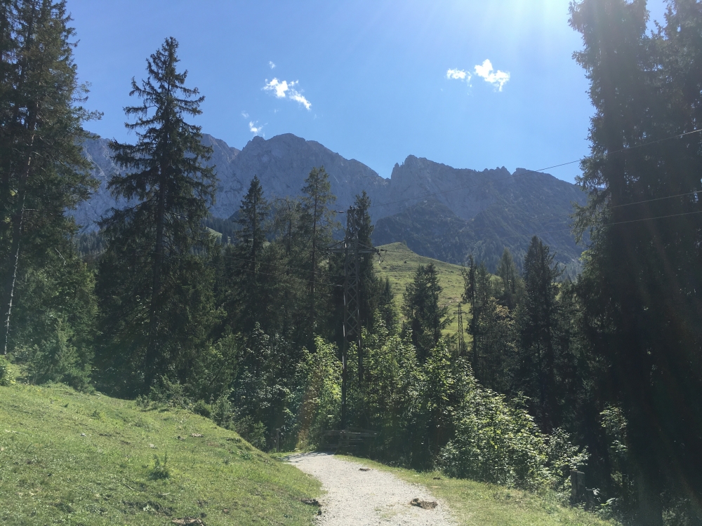 Klettersteig Hackenköpfe und Sonneck: Klettersteig Hackenköpfe und Sonneck: Zunächst auf breiter Forststraße bergab