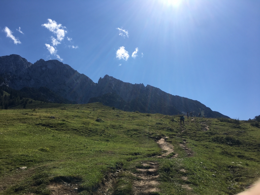 Klettersteig Hackenköpfe und Sonneck: Klettersteig Hackenköpfe und Sonneck: Später über die Almwiesen bei der Steinbergalm