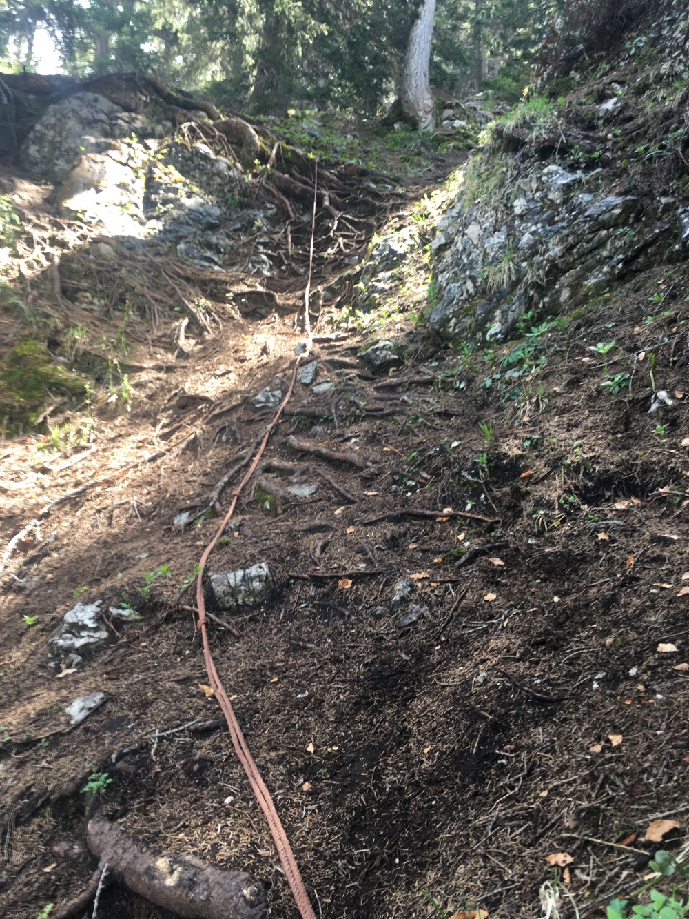 Wanderung Zettenkaiserkopf: Ein Seil soll über die wurzlige Passage helfen