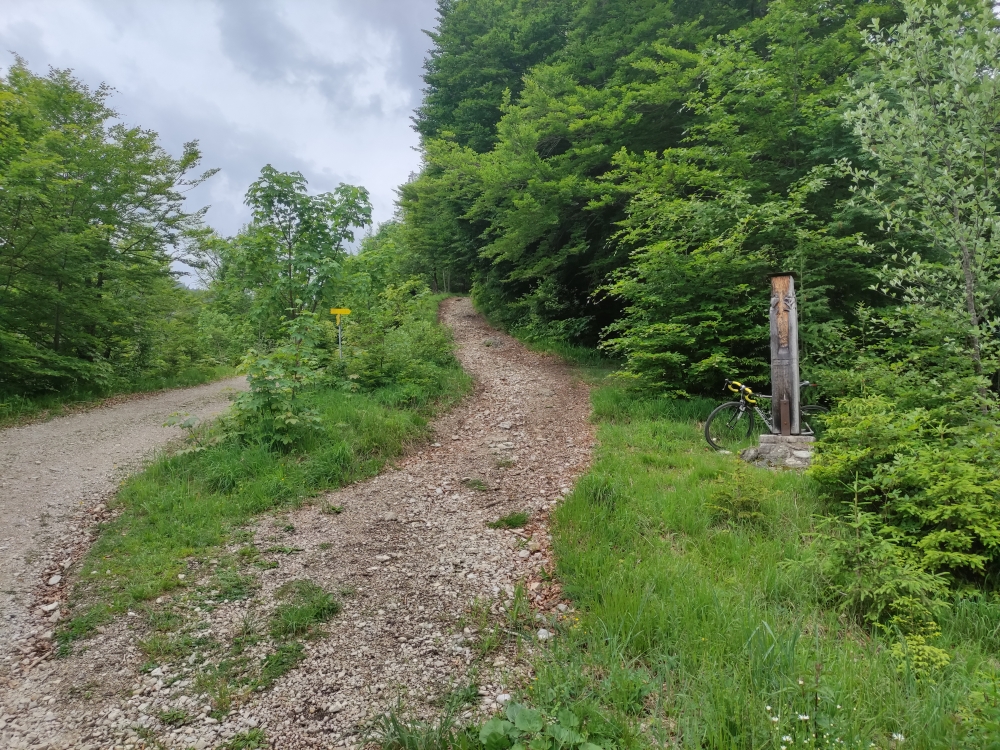 Wanderung Ochsensitz: Von der Forststraße im Tal geht es auf den breiten Gratweg