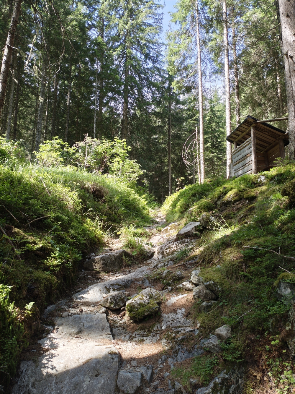 Wanderung Zinkwand: Weg