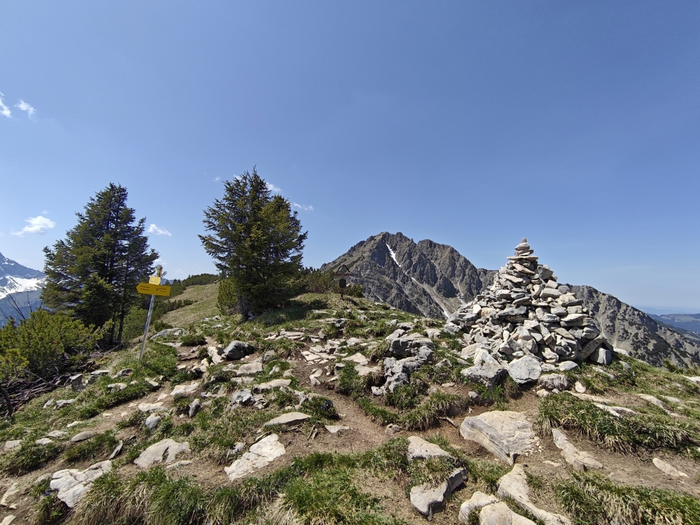 Zirleseck: Zirleseck