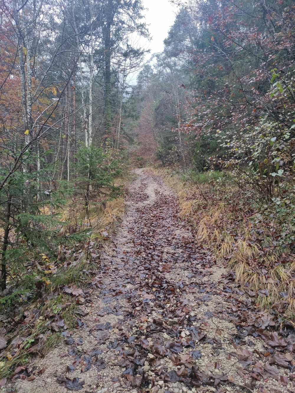 Wanderung Zunterköpfl: Steile, schmale Schotterstraße