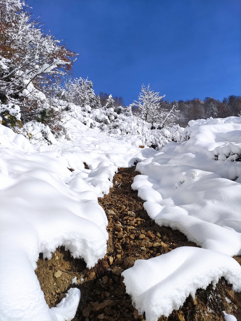 Wanderung Zunterköpfl: Steig