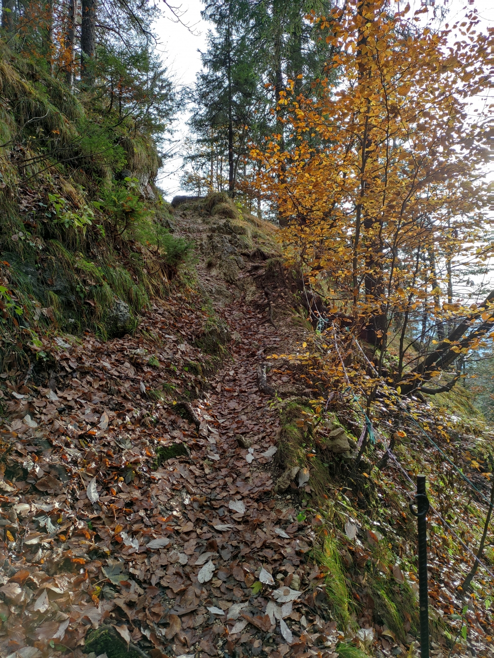 Wanderung Zunterköpfl: Steig