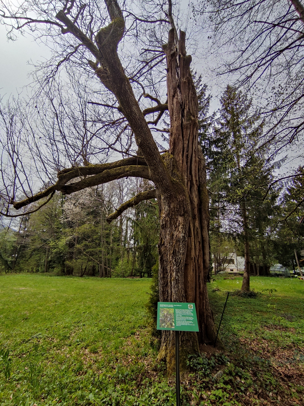 Parkplatz Rathaus -> Marienbild: Geobiologischer Lehrpfad