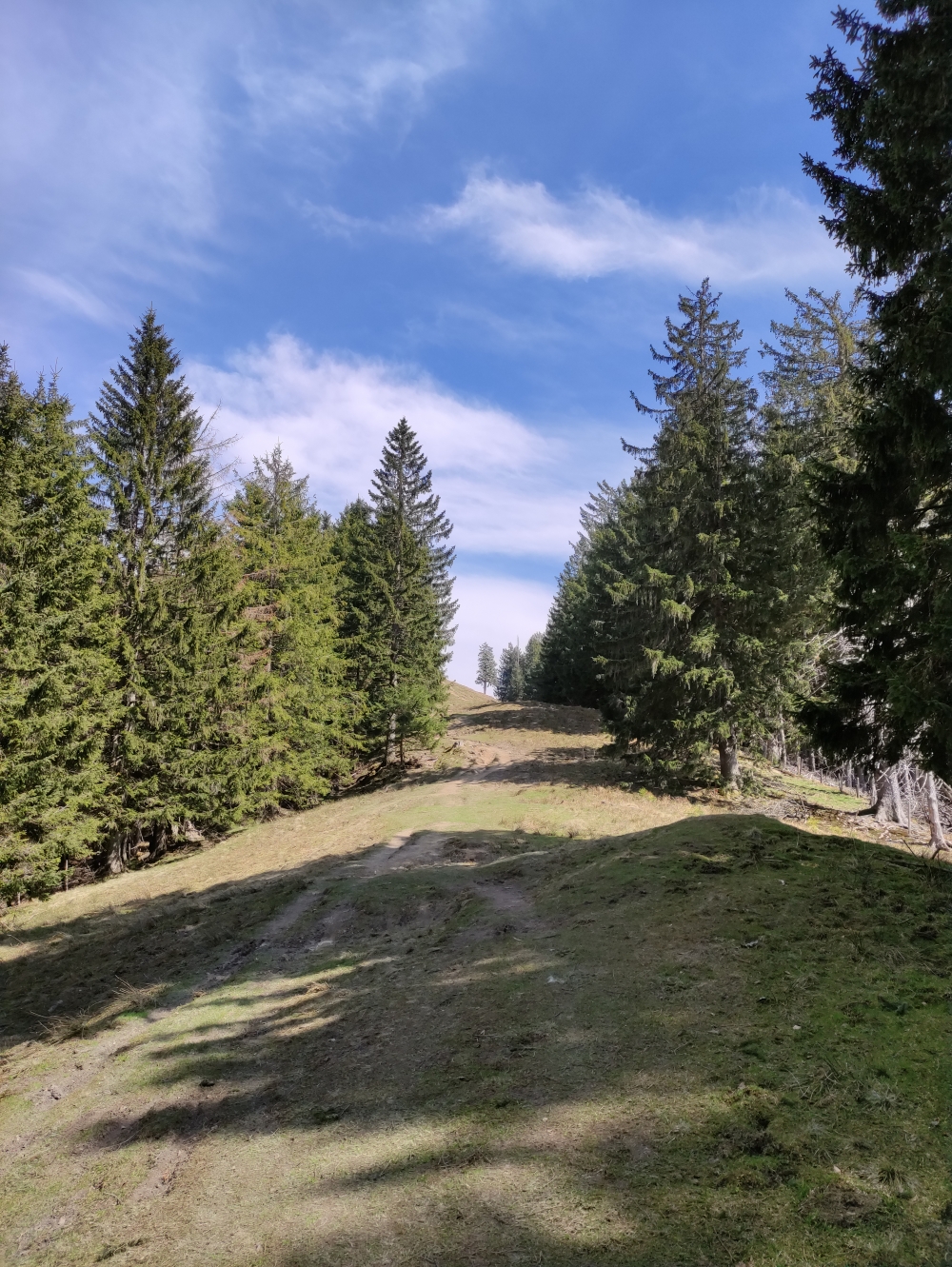 Zwiesel -> Stallauer Kopf: Zwischen den Gipfeln